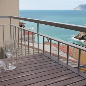 Apartment Da Paulin, Manarola
